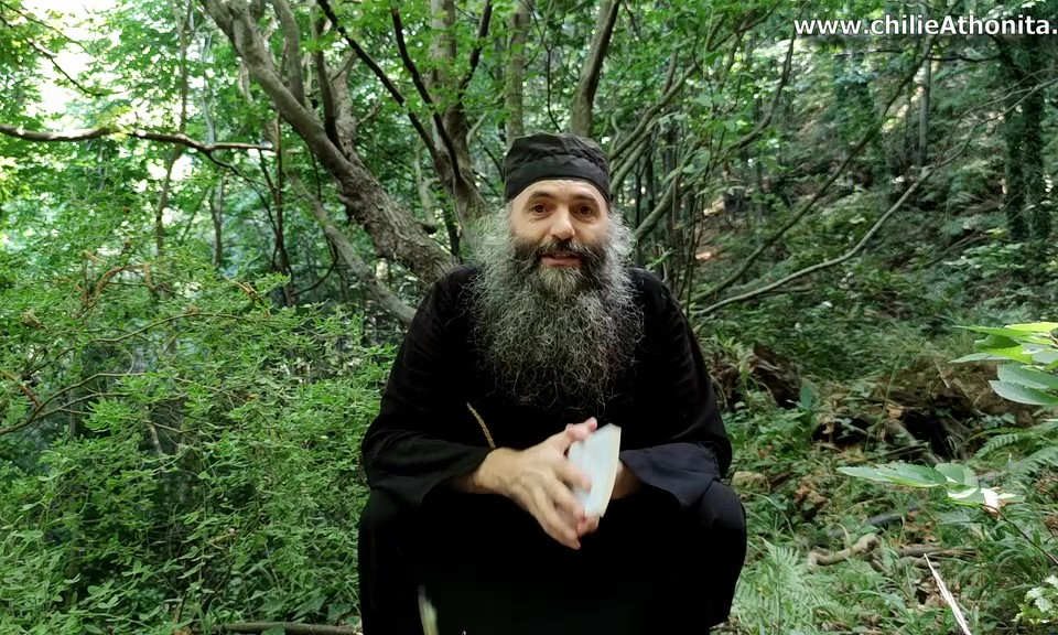 p Pimen Vlad: vaccinarea obligatorie
