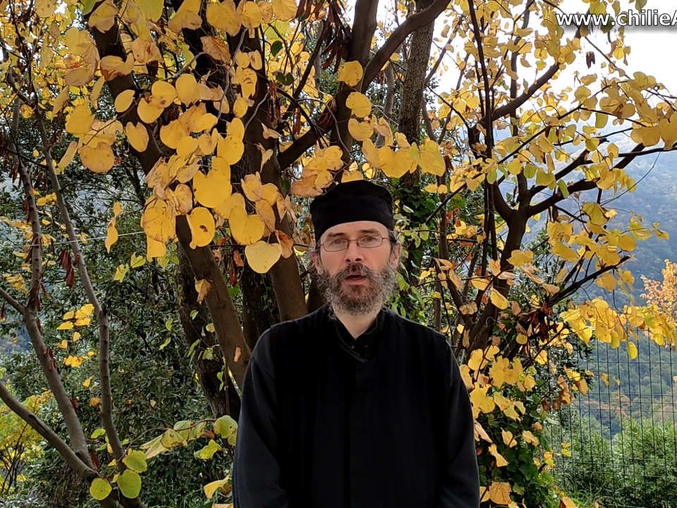 Cauzele pandemiei