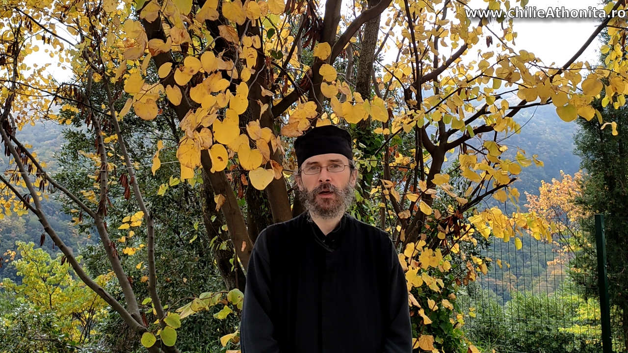 Cauzele pandemiei