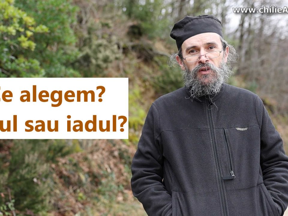 Vameșul