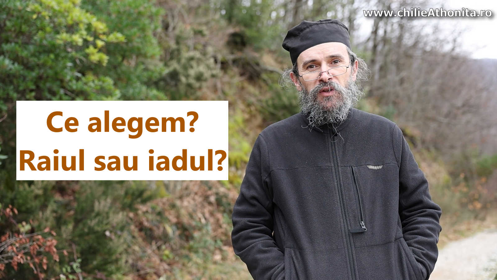 Vameșul
