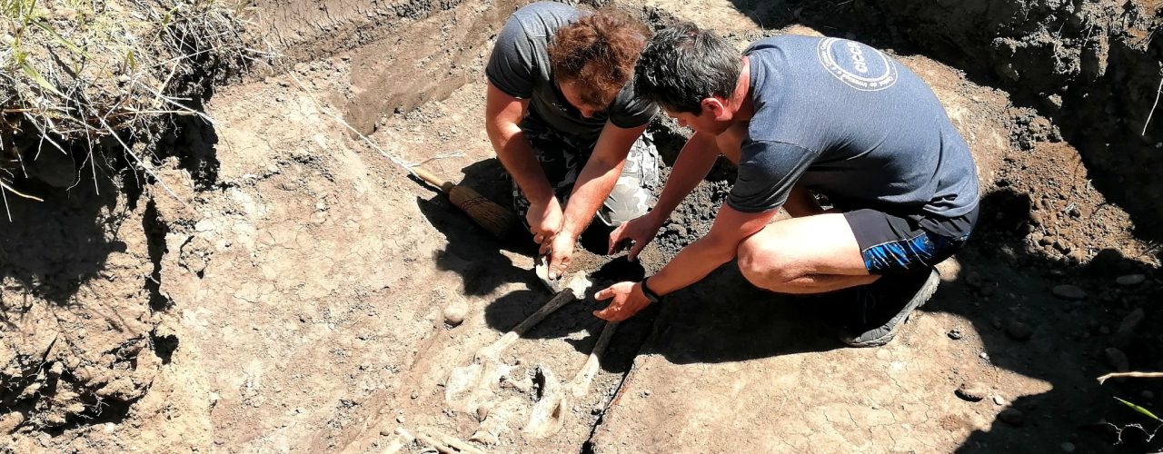 Fig.4: Dezvelirea osemintelor dintr-un mormânt descoperit în Secțiunea 23, practicată în exteriorul cimitirului.