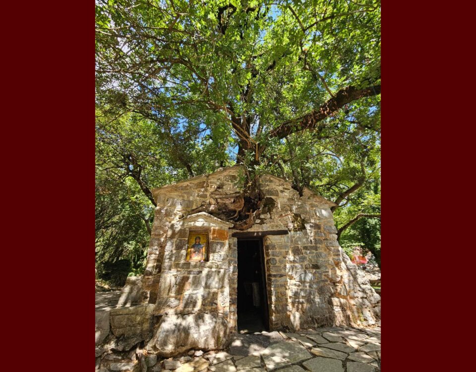 Sfânta Teodora din Vasta