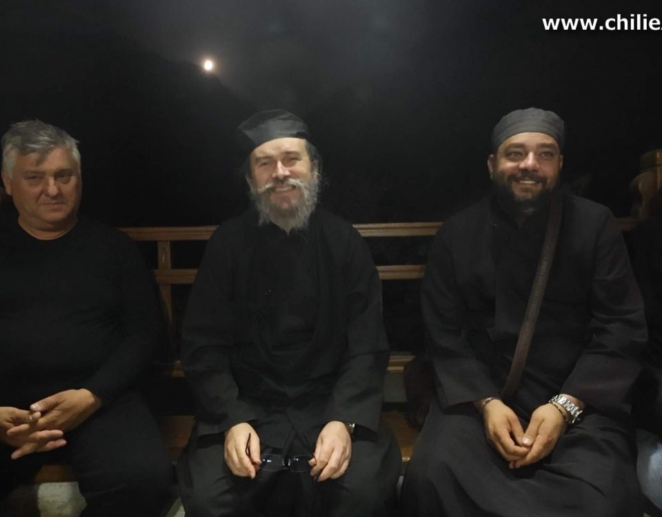 acte cu cip și jocuri video